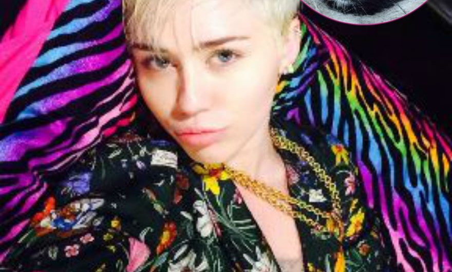 Miley cyrus new pup moonie