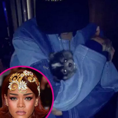 Rihanna rescue dog