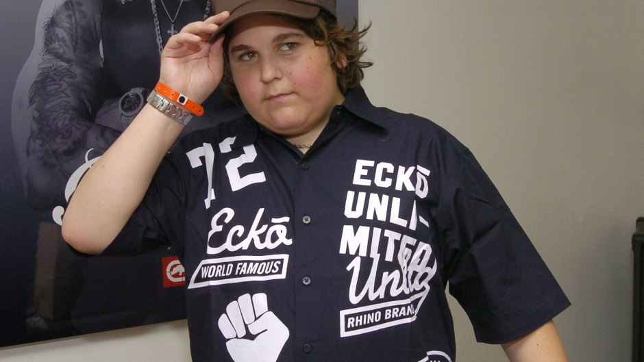 What happened to andy milonakis