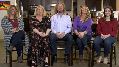 how-many-kids-do-the-sister-wives-have