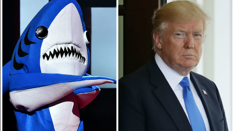 Trump hates sharks