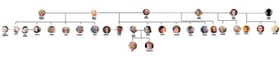 Sister Wives Family Tree With Evangalynn Brush