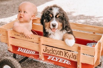 jackson-roloff-murphy-dog-puppy-photos