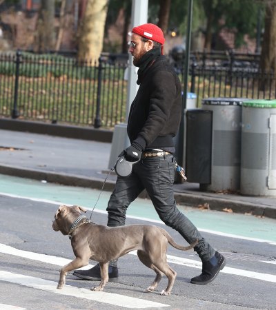 Jennifer Aniston Ex Justin Theroux Walking Dog Alone NYC