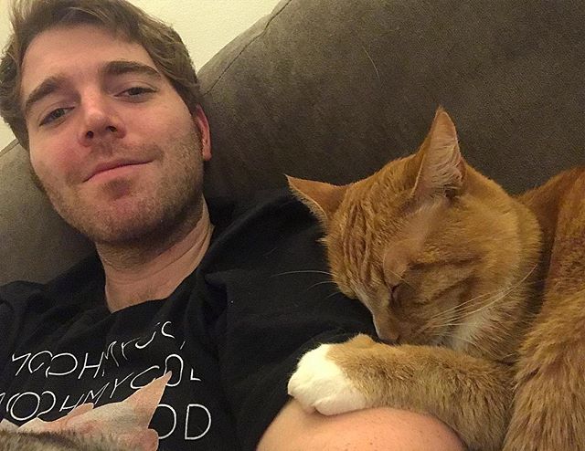 Shane Dawson Apologizes For Joking About Humping His Cat