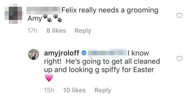 Amy Roloff Fires Back After Troll Says Her Dog 'Really Needs a Grooming'