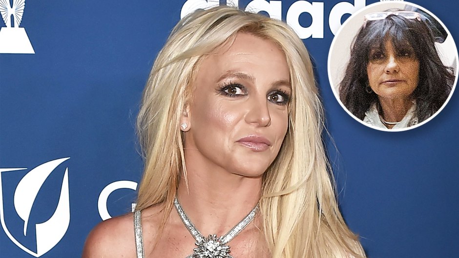 Britney Spears Mother Lynne Judge Mental Health Battle