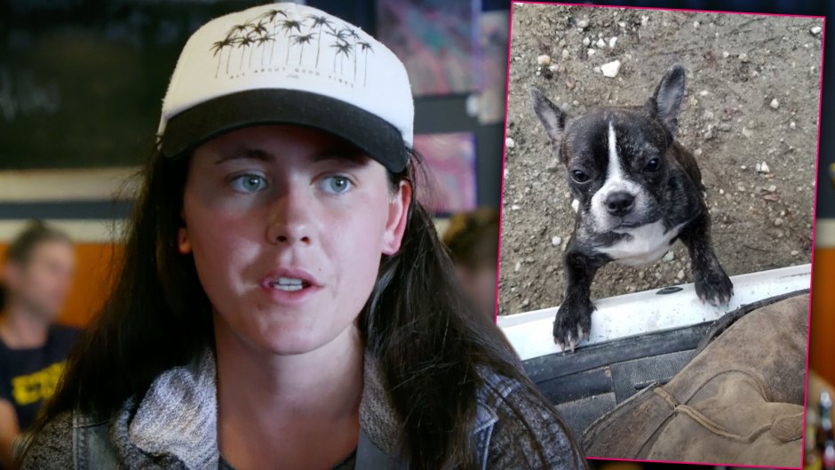 Fans Beg MTV Take Action Fire Jenelle Evans After Dog Killing Incident Teen Mom 2