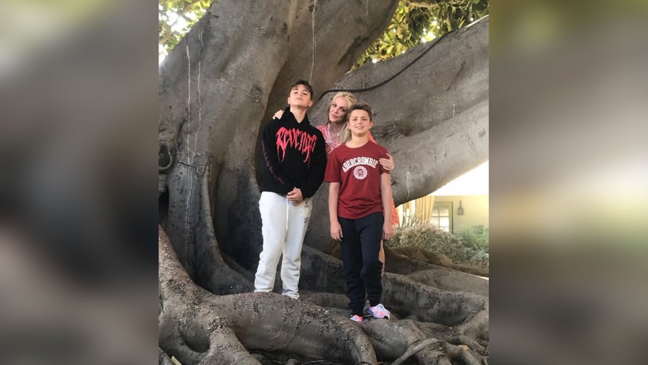 Britney Spears Sons Look So Big Posing On A Tree