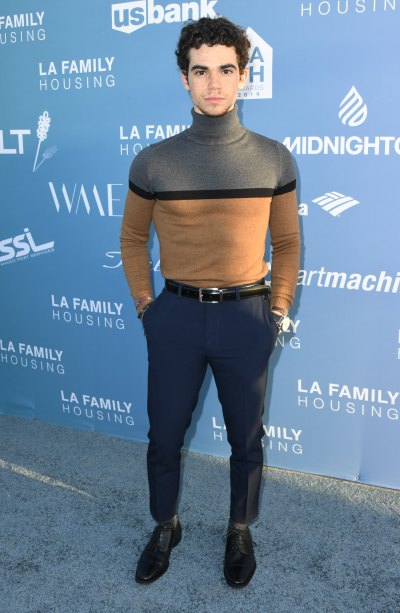 Cameron Boyce Wearing a Tan and Gray Sweater With Pants