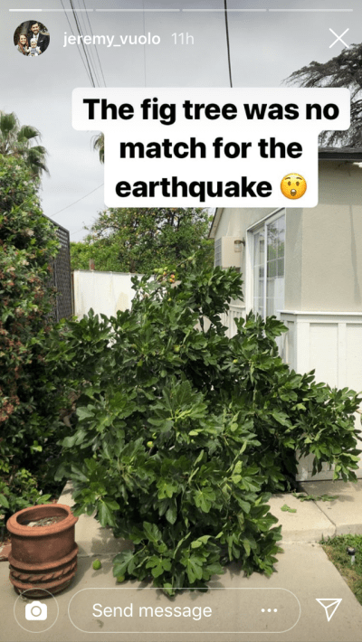Jeremy Vuolo's Instagram Story of Fallen Fig Tree after Earthquake Hits Southern California