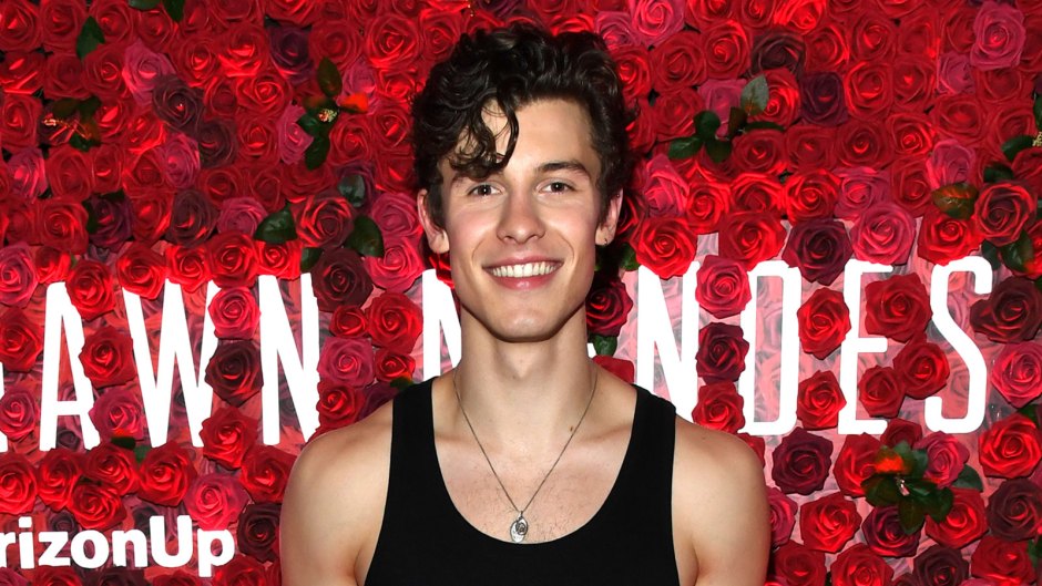 Shawn Mendes Straight-Up Walked Off Stage When Asked About Camila Cabello and People Are Pissed