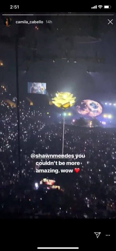 camila cabello gushes over shawn mendes at his concert