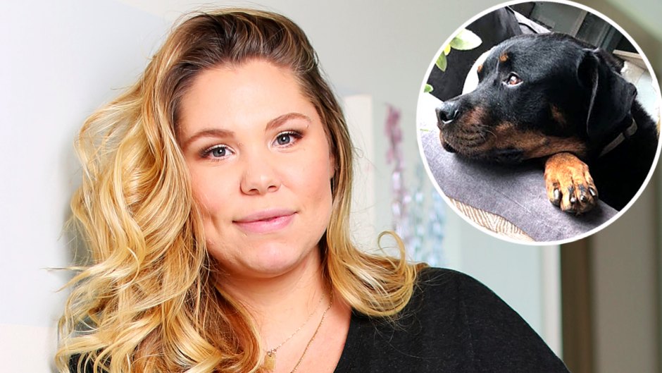 Teen Mom 2 Star Kailyn Lowry Reveals That Her Dog Bear Died