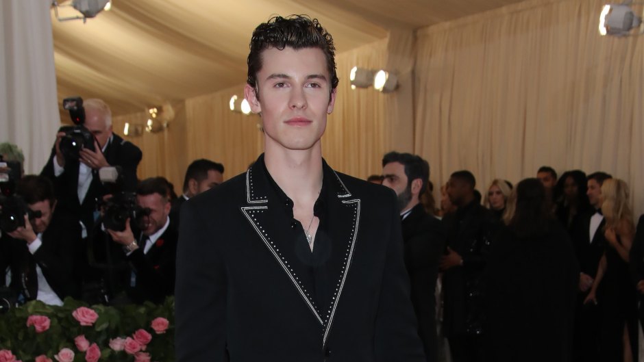 Shawn Mendes Wearing All Black at the Met Gala