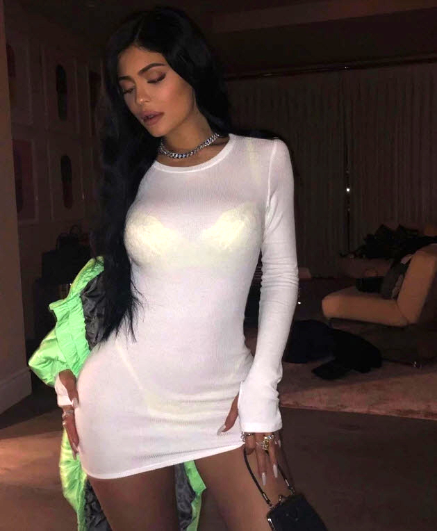 Kylie Jenner's Sexiest Moments Ever: See the Racy Photos | In Touch Weekly
