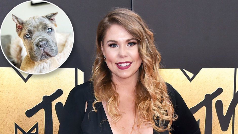 Kailyn Lowry Gets Hate New Dog Cropped Ears