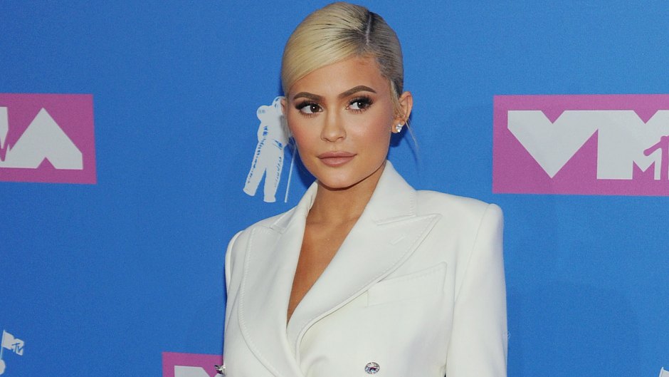 Kylie Jenner Slammed By Animal Lovers Over Purse Collection: 'Poor Crocodiles'