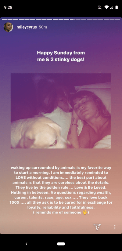miley cyrus lays in bed with her two dogs in a cute selfie miley cyrus shares message about unconditional love on instagram