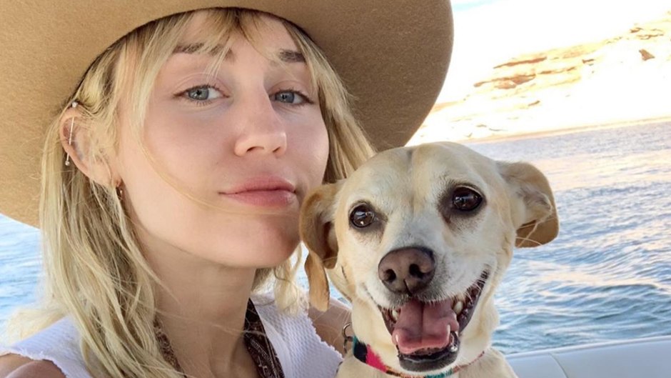 Miley Cyrus Is Single Again, But She'll Always Have Her Dogs to Lean On! Meet All Her Pups