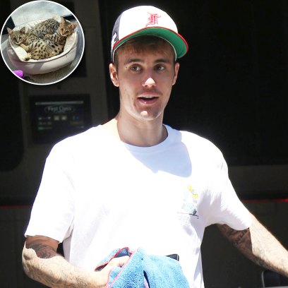 Justin Bieber Goes Off Instagram Over His 35000 Cats