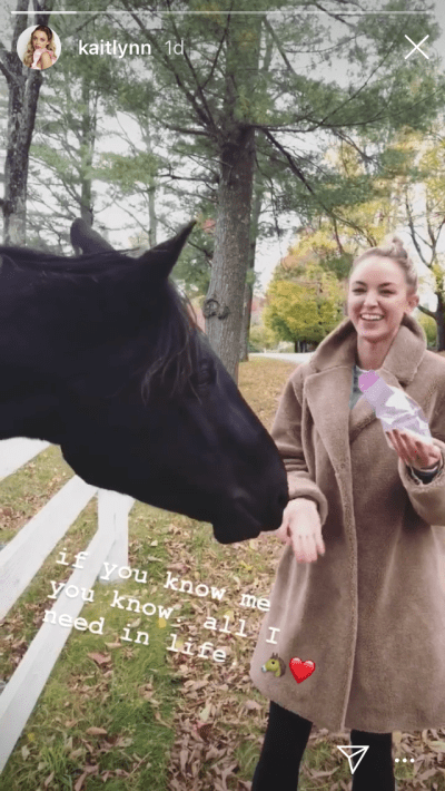 Kaitlynn Carter Says Her Horse Is All She Needs