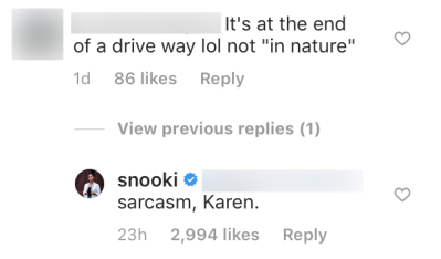 Snooki Claps Back at Hater over 'Nature' Photo