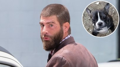 In-Set Photo of Nugget the French bulldog Over Photo of David Eason