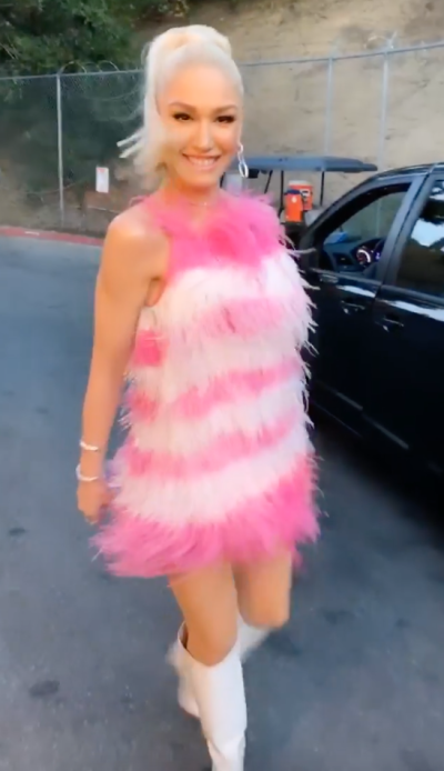 Gwen Stefani Wearing a Pink Dress