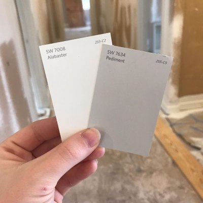 Joy-Anna Duggar Compares Two Paint Chips For Home Renovations