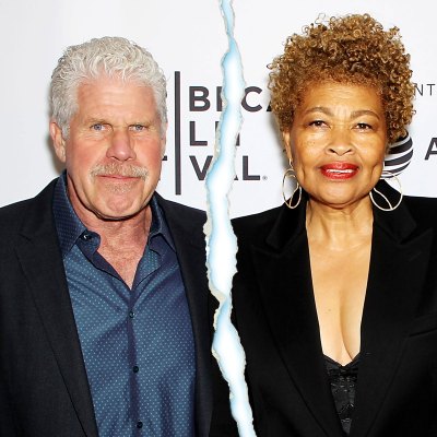 Ron Perlman Files for Divorce After 38 Years of Marriage