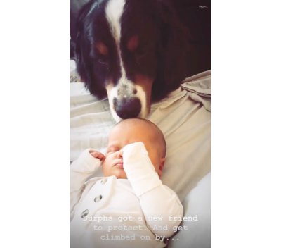 Tori Roloff Says Son Jackson 'Doesn't Mind Sharing' Dog Murphy With His Little Sister