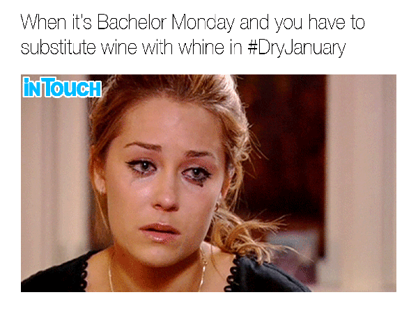Dry January Memes, Because the New Year Sober Challenge Is ...