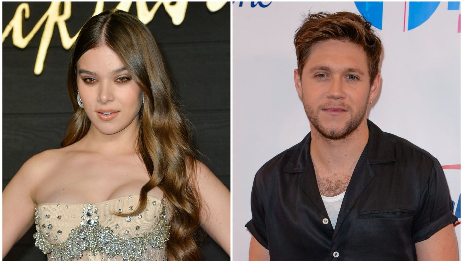 Hailee-Steinfeld-Seemingly-Shades-Niall-Horan-In-New-Song