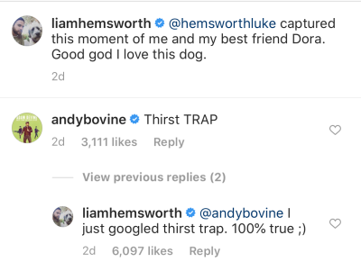 Adam Devine Calls Liam Hemsworth a Thirst Trap on Instagram