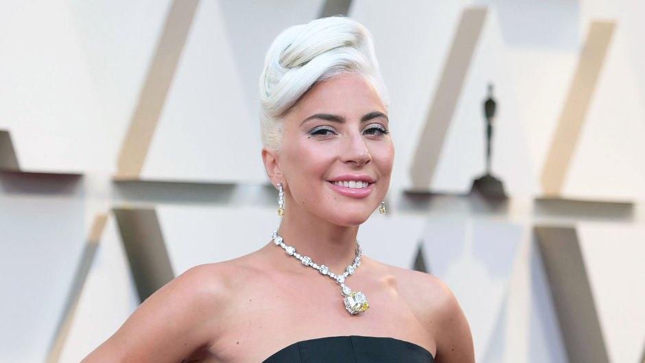 Lady Gaga Plans on Babies Over the Next Decade