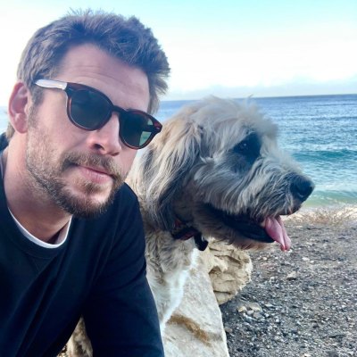 Liam Hemsworth With His Dog at the Beach