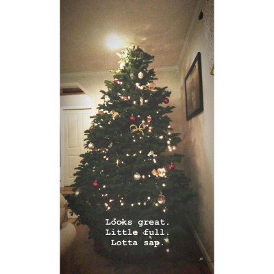 Tori Roloff Reveals The Roloff Family Christmas Tree