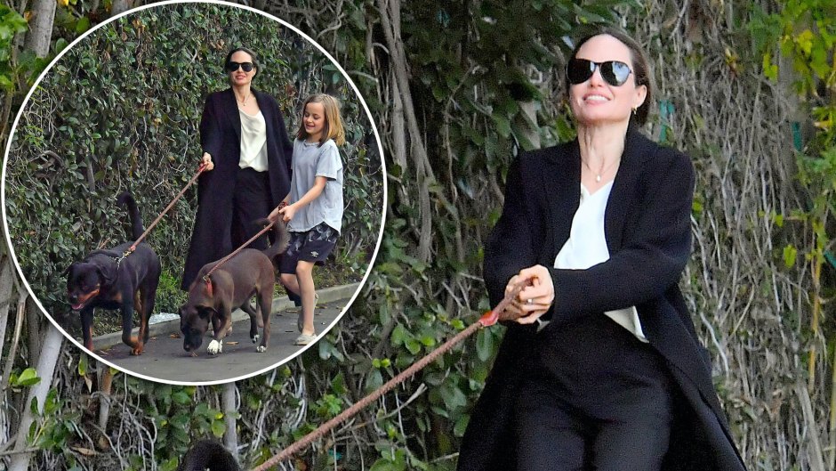 Angelina Jolie and Daughter Vivienne Get Dragged By Their Dogs As They Leave the Groomer in L.A.