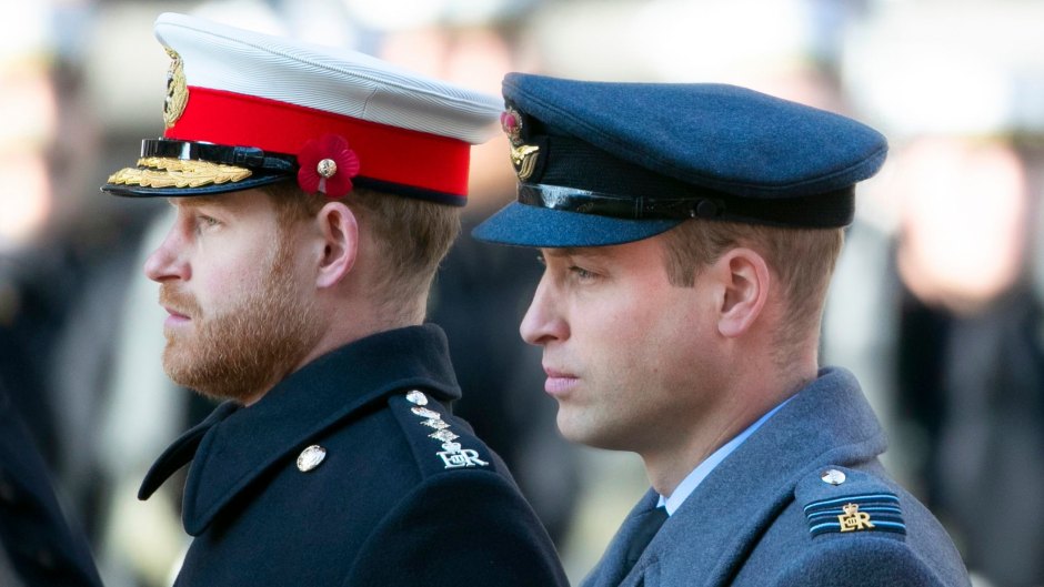 Conflict Resolution Expert Reveals Princes Harry and William's Biggest Obstacle to Mending Relationship