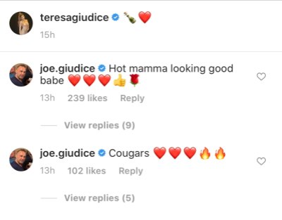 Joe Giudice Calls Teresa Giudice a Hot Mama on Instagram