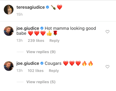 Joe Giudice Calls Teresa Giudice a Hot Mama on Instagram