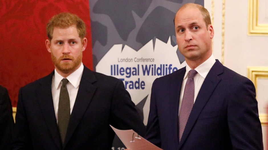 Prince William and Harry Wearing Suits at Event