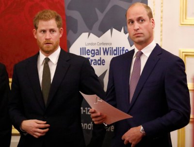 princes harry and william at the Illegal Wildlife Trade Conference.jpg