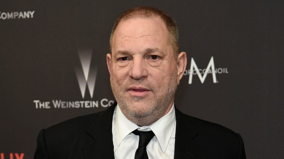 Meet Convicted Rapist Harvey Weinstein's 2 Ex-Wives, Eve Chilton and Georgina Chapman feature