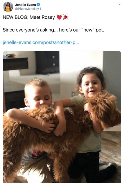 'TM2' Alum Jenelle Evans Receives Backlash After Getting a New Dog Following Nugget's Death- 'So Sad' inline