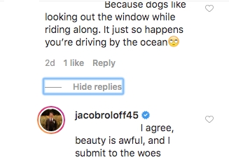 jacob roloff responds to snarky comment about his dog