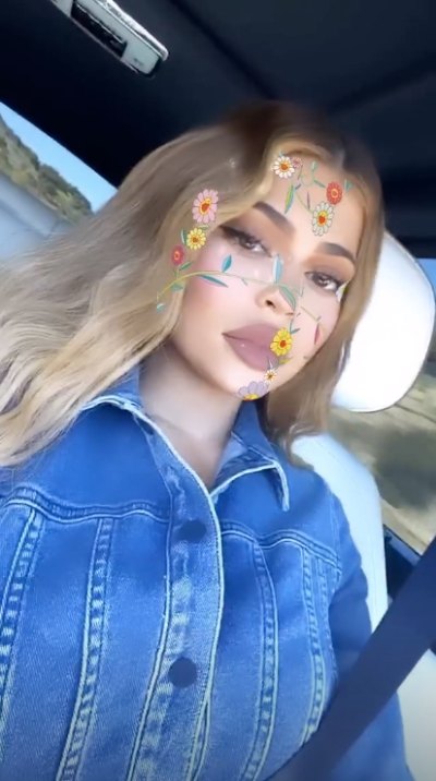 Kylie Jenner Wears Denim Dress With Bronde Hair and Flower Filter on Her Face