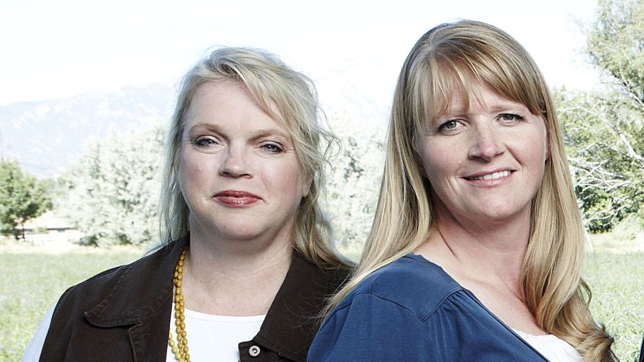 Sister Wives Janelle and Christine Brown Reveal Perks of Coparenting Arrangement