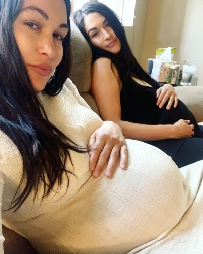 Nikki and Brie Bella Baby Bumps